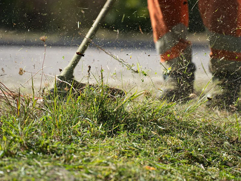 Landscaping800600